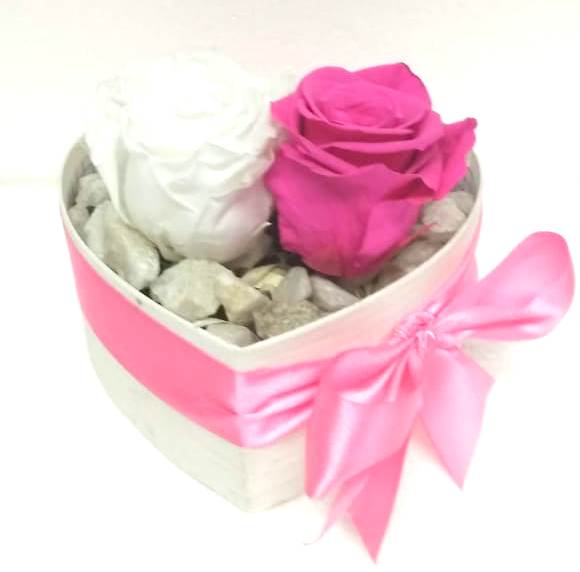 2 Rosas Preservadas en Caja Coraz�n